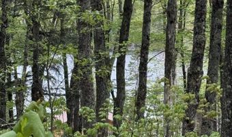 161 Porter Lk, Amasa, MI 49903