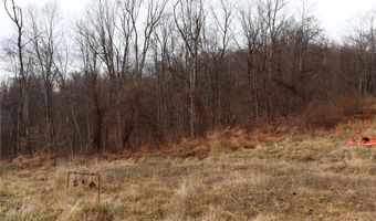Route 12 Road, Alum Creek, WV 25003