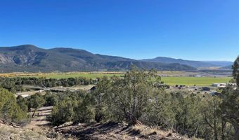 440 Run Around Rd, Arboles, CO 81121