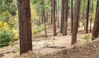 4337 Lakemont Dr, Arnold, CA 95223