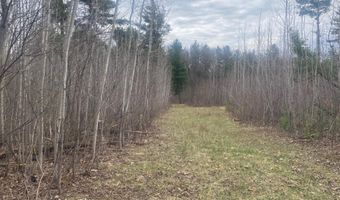42 53A COUNTY ROAD Q, Amherst Junction, WI 54407