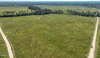 38774 S Mccarrol Rd, Amite, LA 70422