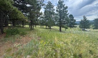 Whymans Black Lake Estates lot 39, Angel Fire, NM 87710