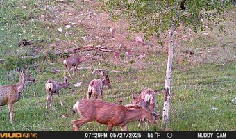 10643 CR 501, Bayfield, CO 81122