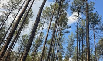 U.S. Highway 51, Bogue Chitto, MS 39629