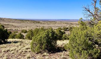 Tbd Co Rd 5062 Lot 1 3.53 Acres, Concho, AZ 85924