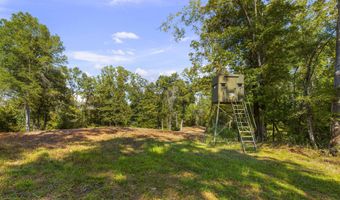 2233 Holloman Rd, Bentonia, MS 39040