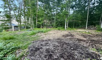 3206 HIDDEN RIDGE Rd, Alanson, MI 49706
