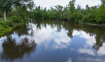 13696 NW Shuman Ferry Rd, Altha, FL 32421