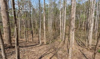 1778 White Rd, Camden, SC 29020