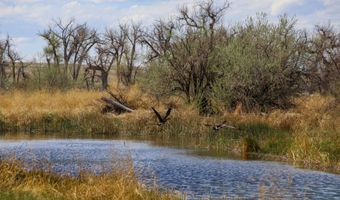 38250 COUNTY RD 170, Agate, CO 80101