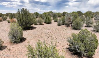 0 N Wagon Tree Rd, Ash Fork, AZ 86320