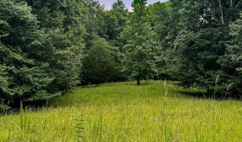 Legacy Shores lot 48, Alberta, AL 36720