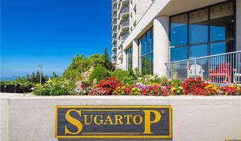 303 Sugar Top Dr 2210, Banner Elk, NC 28604