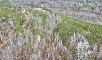 21000 Block Highway 21, Beatrice, AL 36425