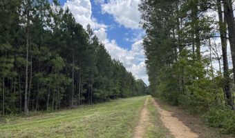 0 Frontage Rd, Columbus, MS 39701