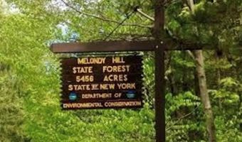360 Ives Hill Rd, Afton, NY 13730