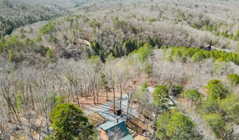 111 Roaring Creek Rd, Epworth, GA 30541