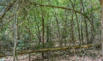 5 N Hall Rd, Antlers, OK 74523