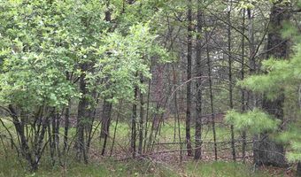 S Badger Lane lot 38, Arkdale, WI 54613