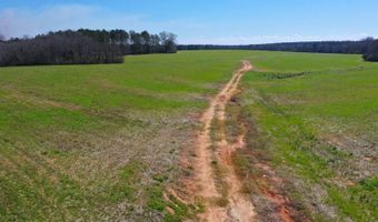0 Tervin Mill Rd, Andalusia, AL 36421