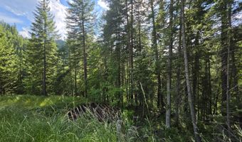 480 Dunn Peak Rd, Avery, ID 83802