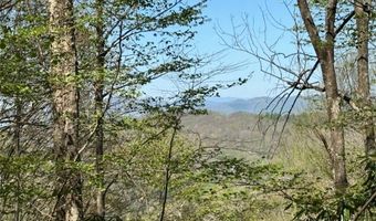 62 Acres Buckeye Ridge Rd, Beech Mountain, NC 28604