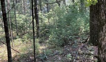 Parcel 18th Avenue, Arkdale, WI 54613
