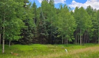 662 Spring Valley Ln, Florissant, CO 80816