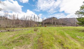 91747 BLUE RIVER RESERVOIR Rd, Blue River, OR 97413