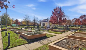 44420 SUNSET MAPLE Dr, Ashburn, VA 20147