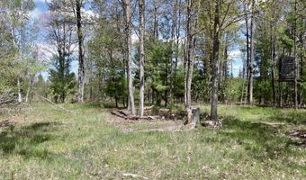5826 S Morrison Rd, Alger, MI 48610
