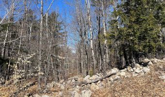 7 Beechwoods At Intervale Dr, Bartlett, NH 03812