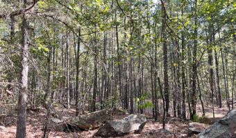Tract 51 Highway 2, Antlers, OK 74523
