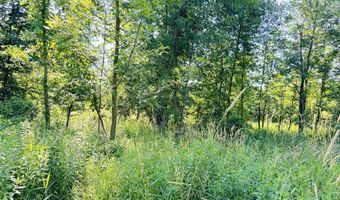 13513 100th St SE, Alto, MI 49302