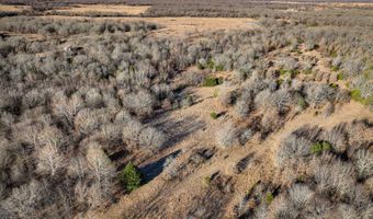 Farris Rd, Atoka, OK 74525