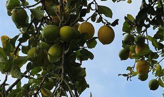 231 S Gain, Anaheim, CA 92804