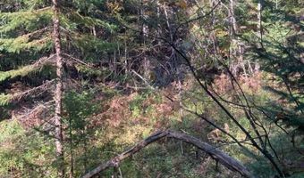 9165 Afton Rd, Afton, MI 49705