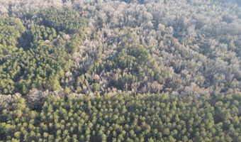U.S. Highway 51, Bogue Chitto, MS 39629
