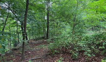 TR D-15 DEER PATH Road, Augusta, WV 26704
