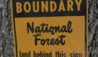 Forestry Rd 356, Beaumont, MS 39423
