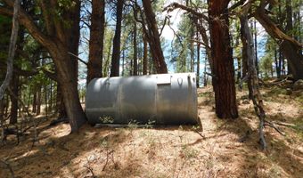 10 N2310, Alpine, AZ 85920