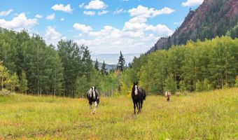 5387 Castle Creek Rd, Aspen, CO 81612