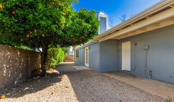 17235 N 2ND Pl, Phoenix, AZ 85022