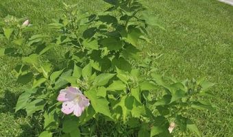 1668 State Hwy 498, Beattyville, KY 41311