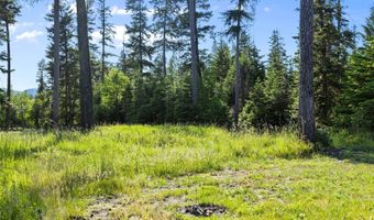 13471 Sundance Trl, Bigfork, MT 59911
