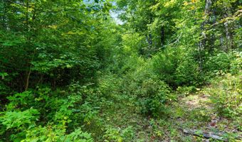 Double Bend Road, Argonne, WI 54511