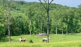 3191 State Hwy Dd Pvt Dr B Tract 5, Ava, MO 65608