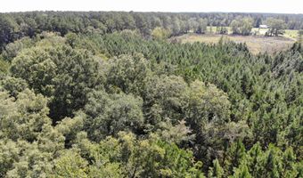 Old Buckhead Road, Bamberg, SC 29003