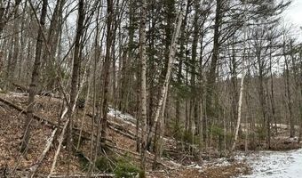 10-3 18 Myrtle St, Campton, NH 03223